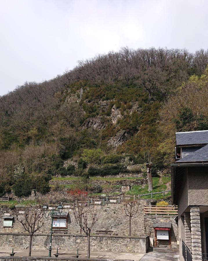 Appartement Dans Ancienne Maison Pyreneenne. Cadéac Kültér fotó