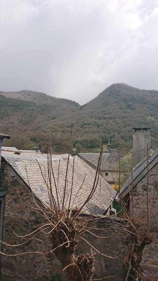 Appartement Dans Ancienne Maison Pyreneenne. Cadéac Kültér fotó